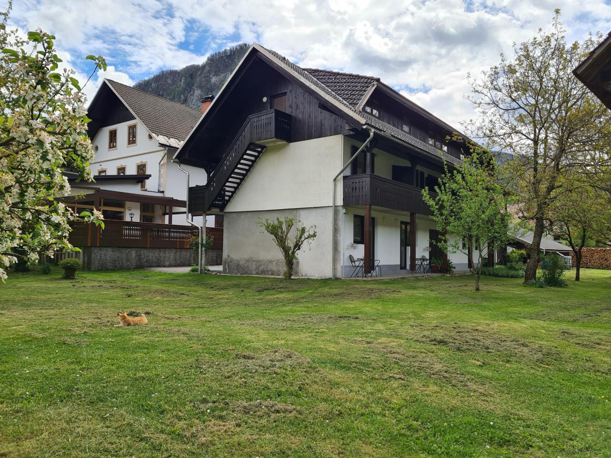 Gostilna Batist Bed & Breakfast Bohinjska Bela Dış mekan fotoğraf