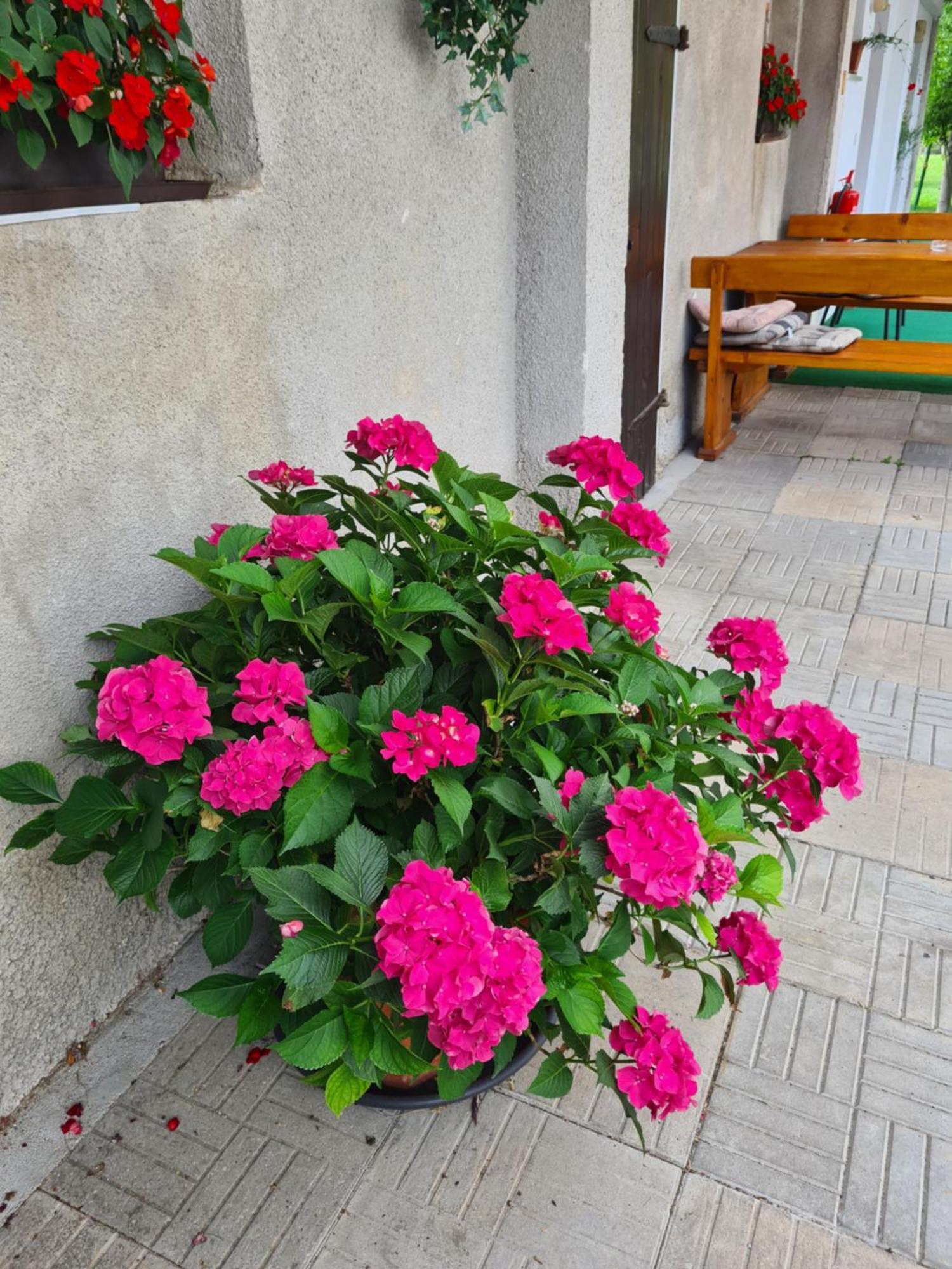 Gostilna Batist Bed & Breakfast Bohinjska Bela Dış mekan fotoğraf