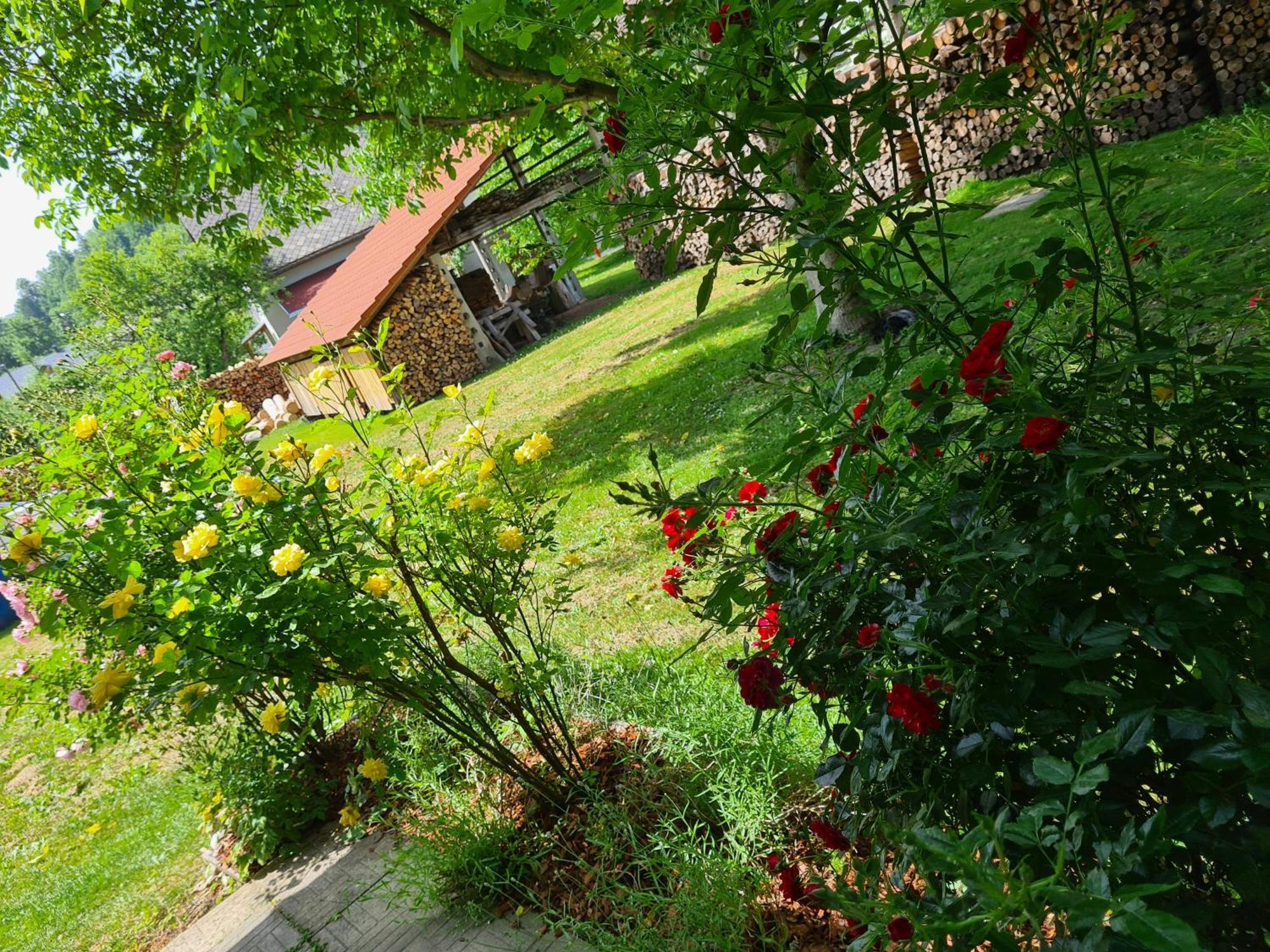 Gostilna Batist Bed & Breakfast Bohinjska Bela Dış mekan fotoğraf