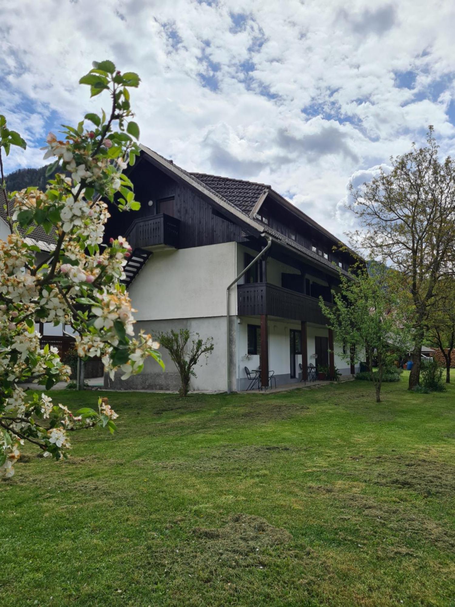 Gostilna Batist Bed & Breakfast Bohinjska Bela Dış mekan fotoğraf