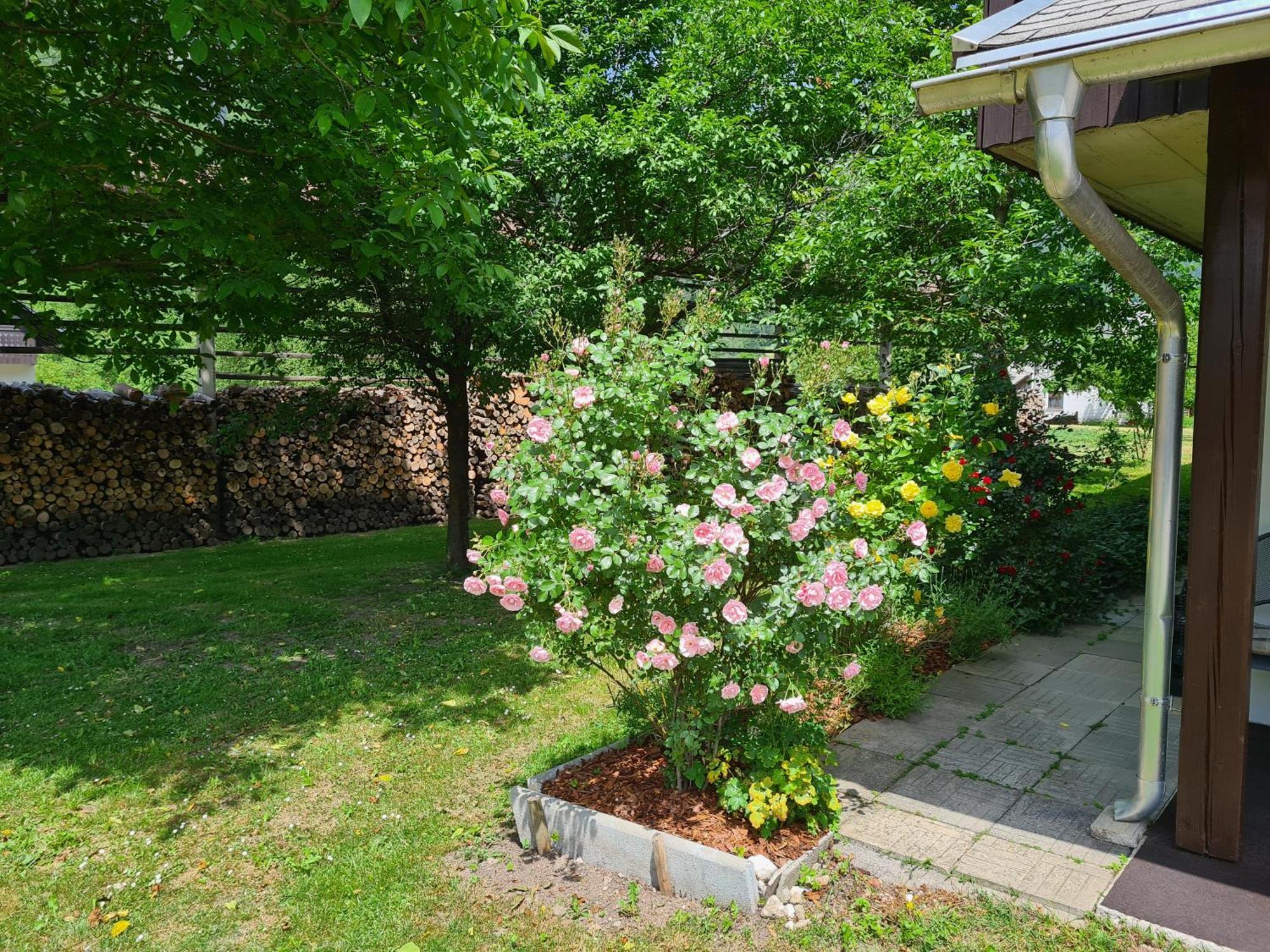 Gostilna Batist Bed & Breakfast Bohinjska Bela Dış mekan fotoğraf
